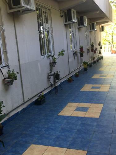 Hostal Ozet Guest House