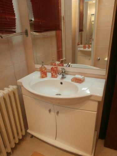 Apartment Oaza