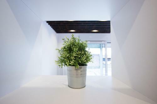 The Boutique Apartment