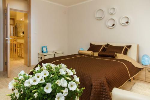 Central Business Apartment