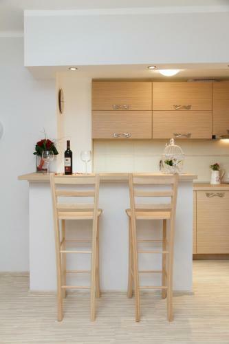 Central Business Apartment