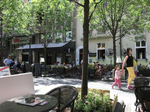 Central Business Apartment