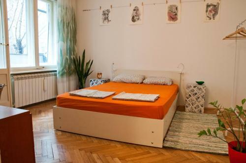 Tip Top Apartment