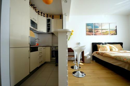 Apartment Apolon