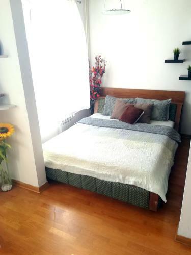 Apartment Apolon