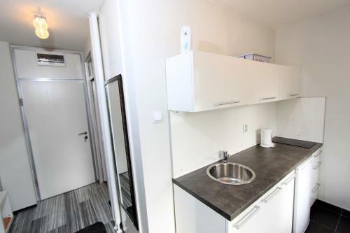 New Belgrade Apartment Arena