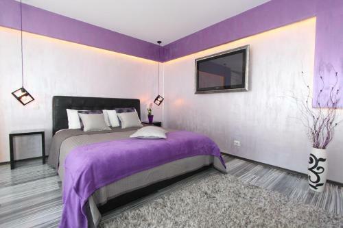 New Belgrade Apartment Arena