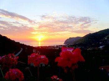 Hotel That's Amore Cilento Country House