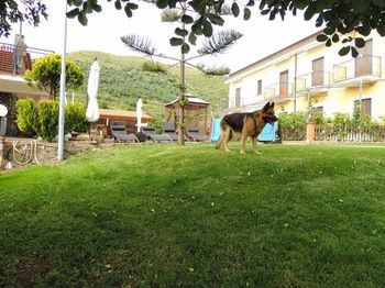 Hotel That's Amore Cilento Country House