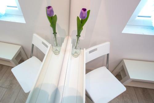 Apartamento Central Terrace View