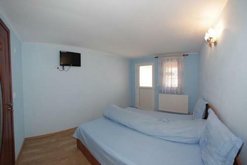 Hostal Pensiunea Anisoara