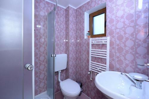 Hostal Pensiunea Dana