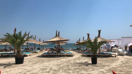 Summerland Vibe Apartments