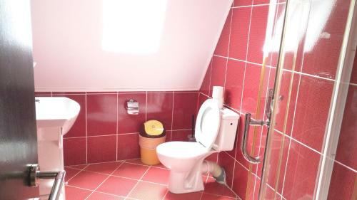 Aparthotel Hotel Silvia Apart Sinaia