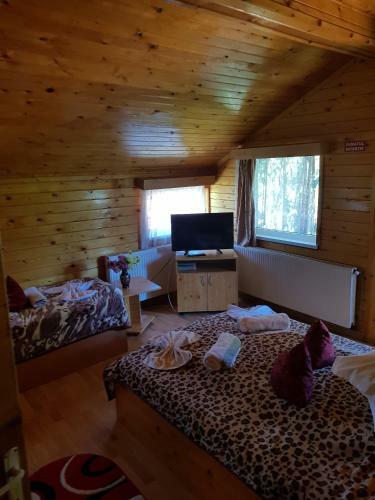 Hostal Pension Bran Ioana