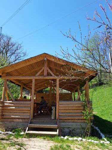 Hostal Pension Bran Ioana