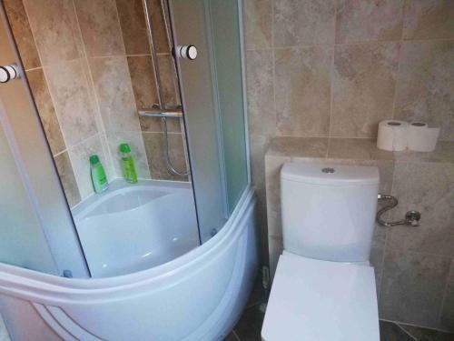 Apartamentos Casa Steluta