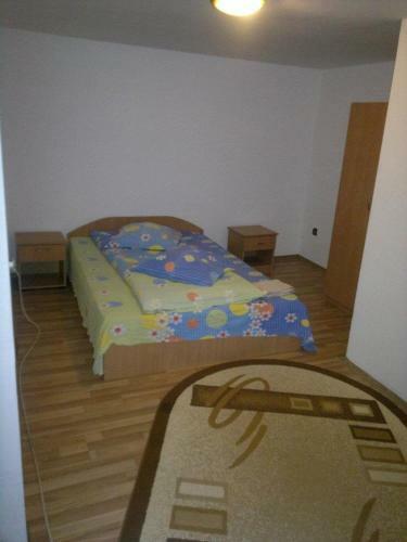 Hostal Pensiunea Buzdugan
