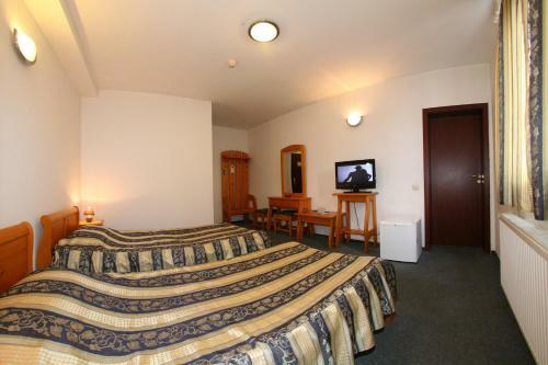 Hostal Pensiune Montana