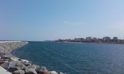 Apartament Nucu II