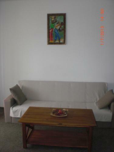 Apartament Nucu II