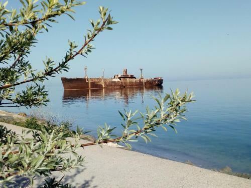 Bed & Breakfast Pensiunea Casa Johnelly