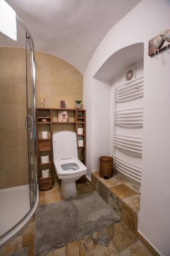 History Apartment Piata Mare