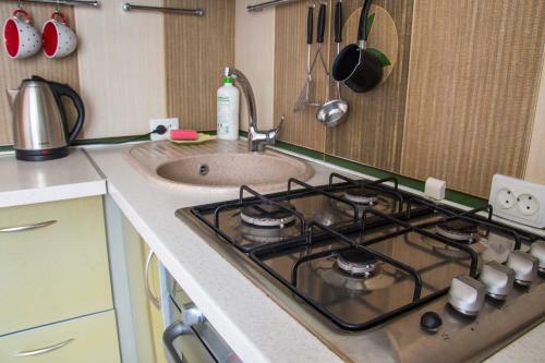 Apartment Universitetskaya 7