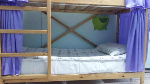 Hostel Cheshire Cat