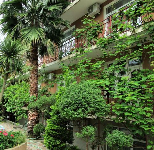 Posada Tais Hotel