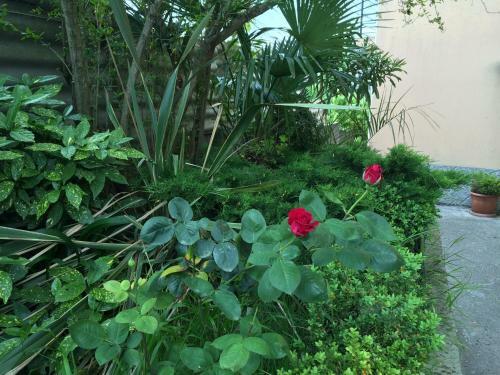 Hostal Gosti Guest House