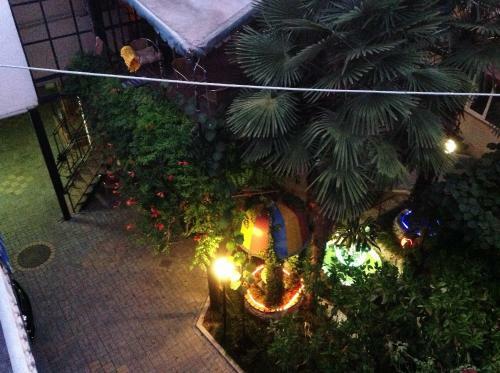 Hostal Oasis Guest House