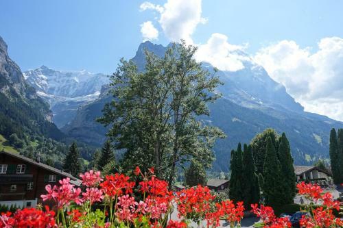 Apartamentos Chalet Wyssefluh