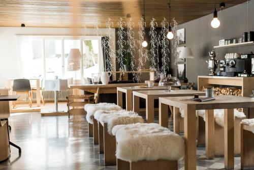 Hotel Lenk Lodge