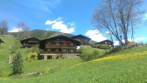 Apartment Grindelwald Gletscher
