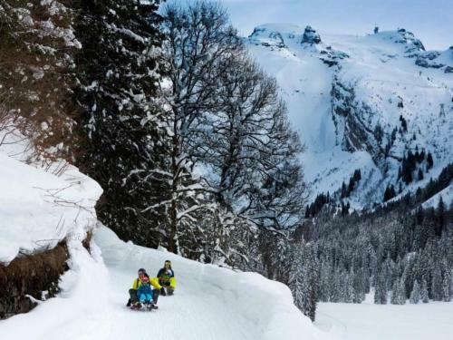 Apartment Titlis Resort Wohnung 811