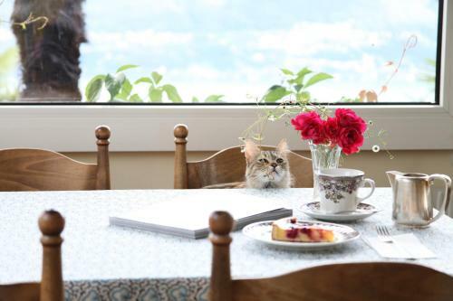 Hostal Garni Dolcevita
