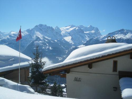 Apartamentos Chalet Blatti