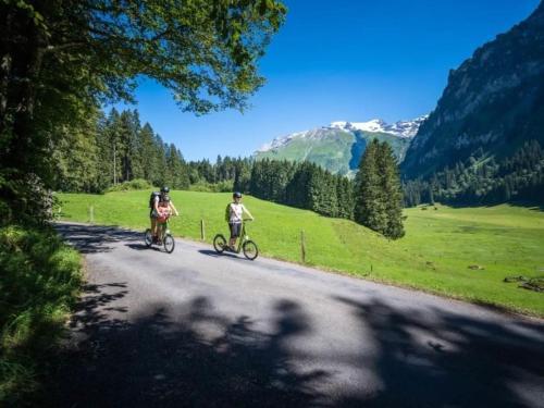 Apartment Titlis Resort Wohnung 503