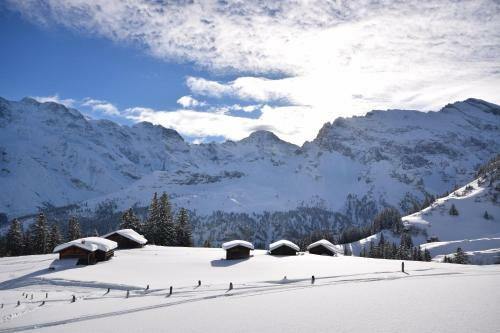 Apartamentos Chalet Bim Chilchli