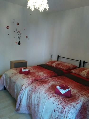 Calm Family Apartment