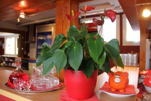 Albergue Downtown Lodge (hostel)