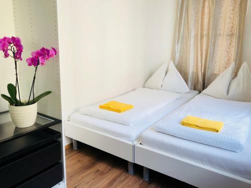 Posada Interlaken Linda Guest House