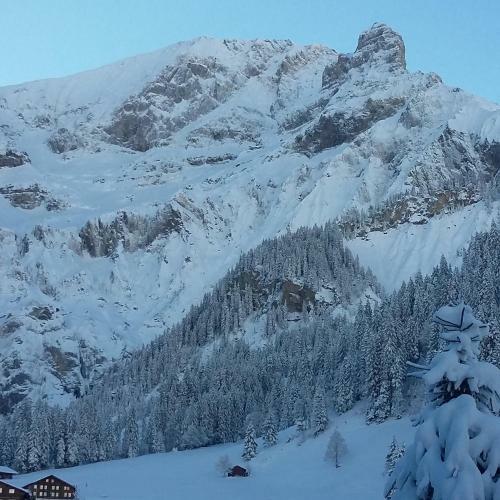Chalet Bunderbach