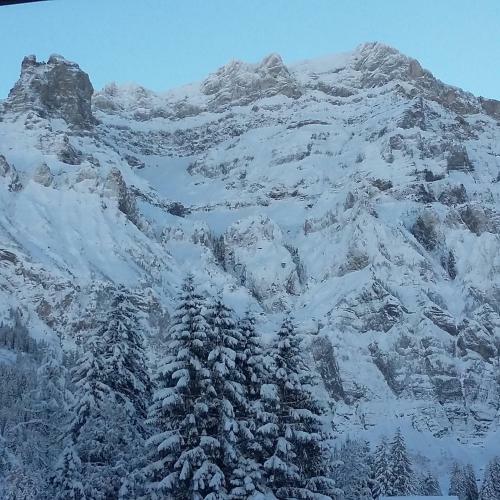 Chalet Bunderbach