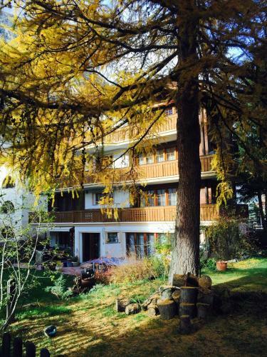 Apartamentos Haus Ares
