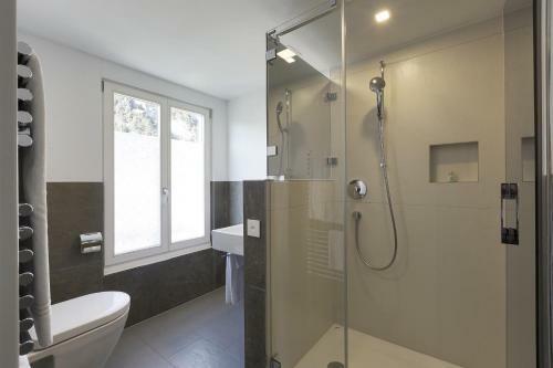 Albergue Alplodge