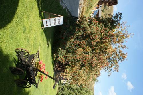 Swiss Chalet-style Hotel Walliser Spycher