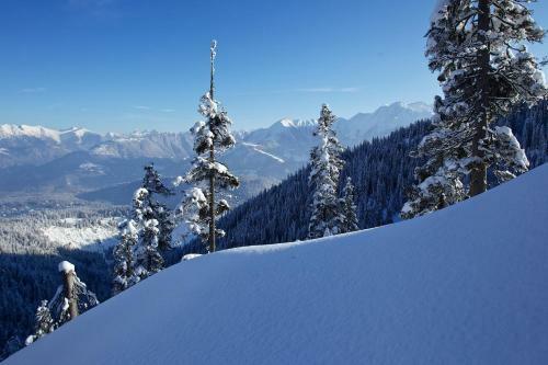 Laax Rancho Studio Apartment