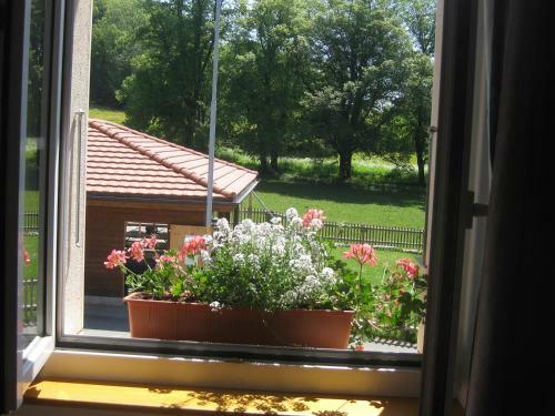 Bed & Breakfast Aux Enges
